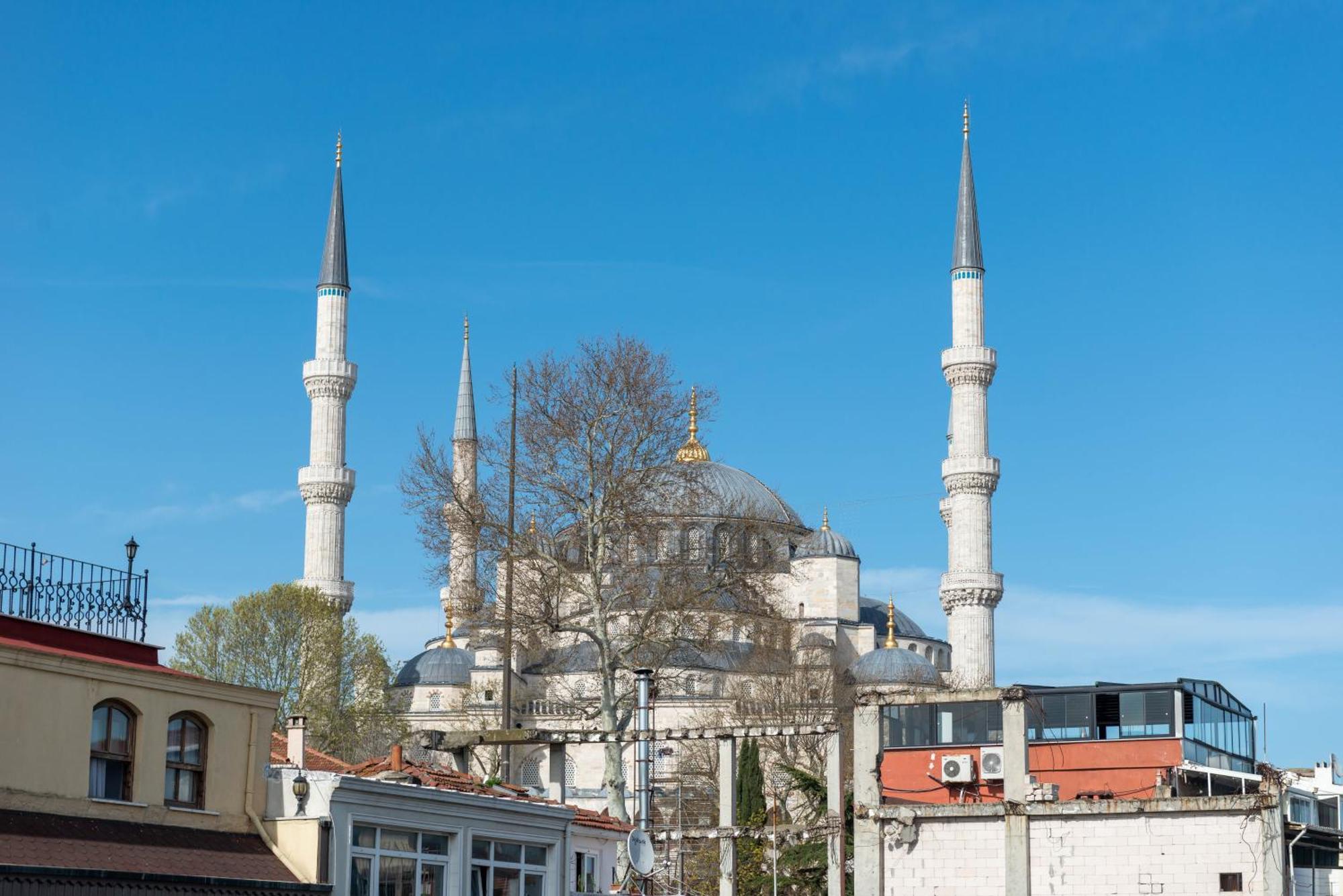 Cetinluxuryhome Istanbul Eksteriør billede